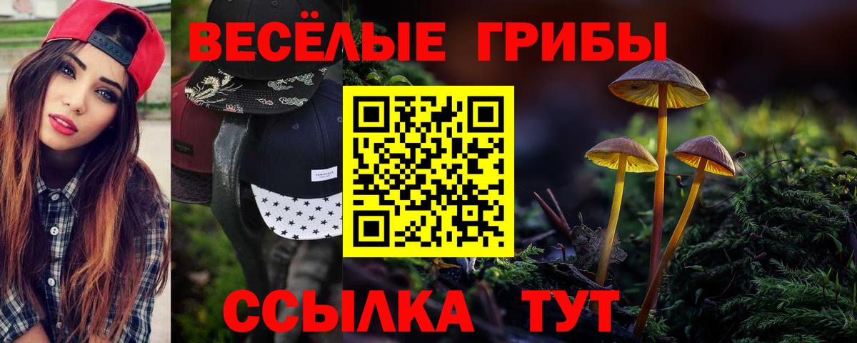 Сатка  Псилоцибиновые грибы мухоморы  Вход с VPN 